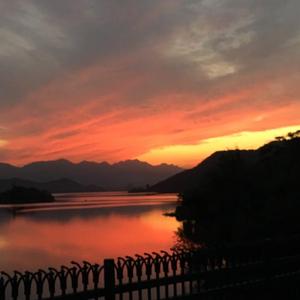 操美女大胖屁股呼扇呼扇的
